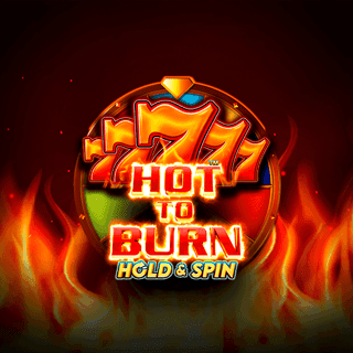 Hot to Burn Hold and Spin screenshot